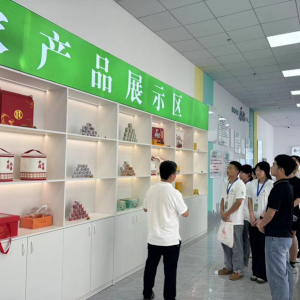 农发行纳雍县支行组织大学生志愿服务队开展走访调研活动