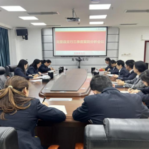 农发行龙里县支行召开2024年三季度案防风险分析会