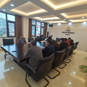 农发行大方县支行执“会议精神”之笔，绘“三农”绚丽华章